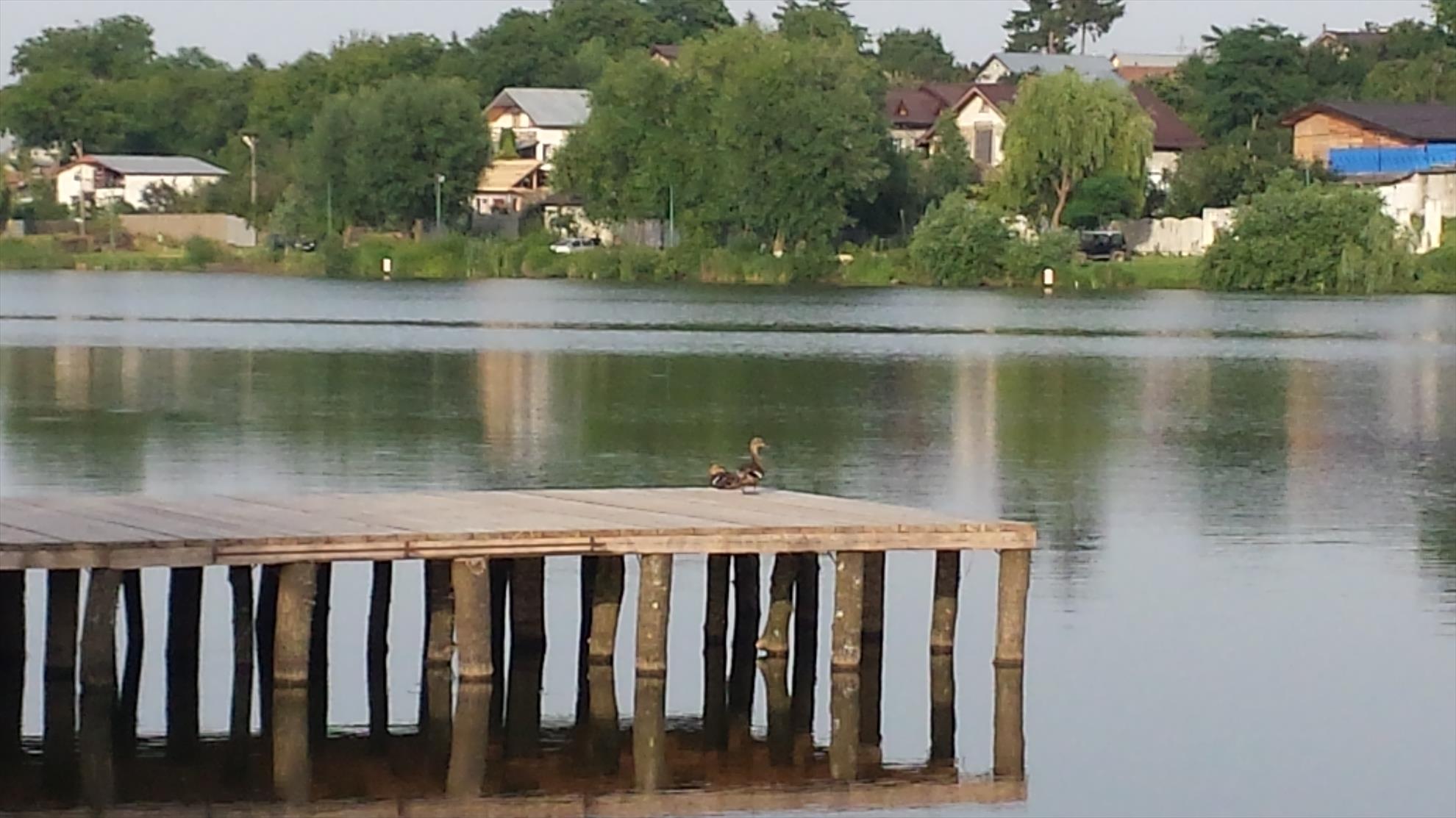 Moara Vlasiei 2 18 - 19 iunie 2016 - 20160618191928.jpg